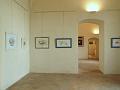 mostra